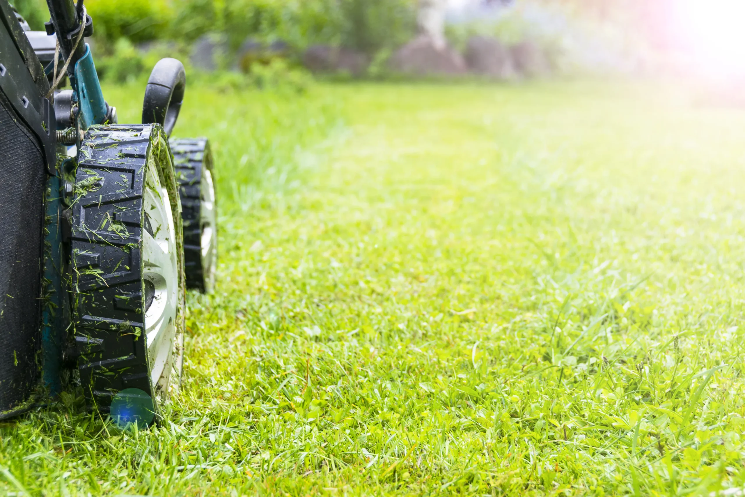 fertilizing program in Rosemount, MN